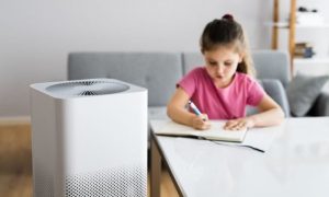 benefícios de um humidificador em casa
