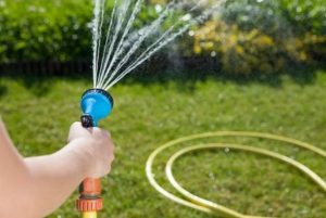 eliminação de formigas do jardim com água