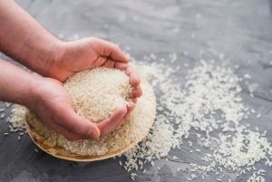 eliminação de formigas do jardim com arroz