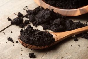eliminar formigas no jardim com café