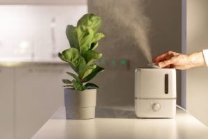 Humidificadores ultra-sónicos